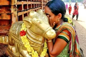 dailynews 1629275279