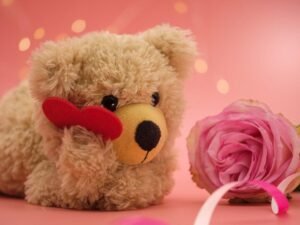 teddy day wishes for girlfriend boyfriend1 63e4e85c6b8c3