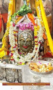 WhatsApp Image 2023 07 10 at 8.48.27 AM (1)