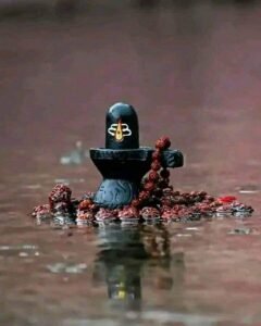 WhatsApp Image 2023 07 24 at 10.51.54 AM