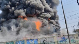 IMG 20240405 WA0021 IMG 20240405 WA0021