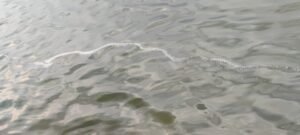 WhatsApp Image 2024 06 19 at 9.50.17 AM (1)