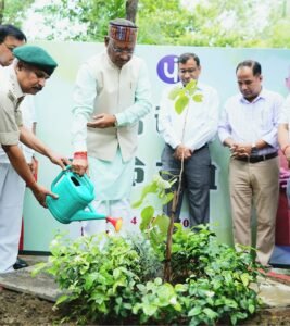 IMG 20240704 121821 (624 x 700 pixel)