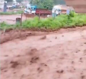 IMG 20240721 205337 (700 x 638 pixel)