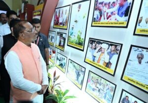 IMG 20240815 145244 (700 x 490 pixel)