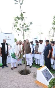 IMG 20240825 161647 (442 x 700 pixel)