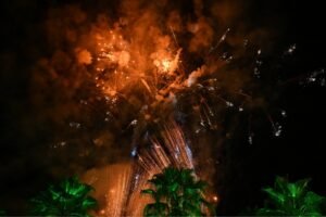 IMG 20241101 213410 (700 x 466 pixel)