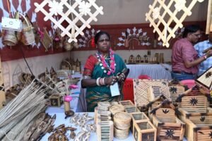 IMG 20241105 214922 (700 x 466 pixel)