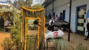 nakaya canava ka le matathana 621de110da09d05e06348435068d7993