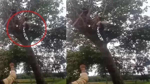 बिजली के हाईवोल्टेज तार की चपेट में आने से ग्रामीण की दर्दनाक मौत
