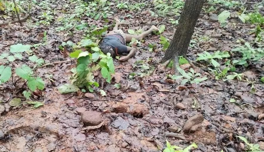 हाथी का आतंक, जंगल में मिली एक ग्रामीण की लाश