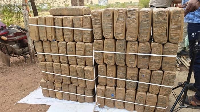 लगातार हो रही गांजे की सप्लाई, कार्यवाही में 500 किलो गांजा जब्त